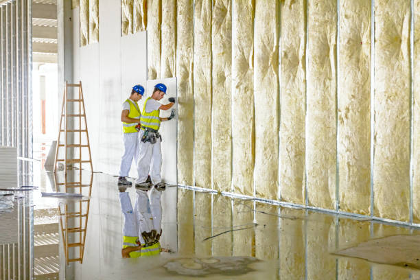 Best Residential Insulation in New Vienna, OH